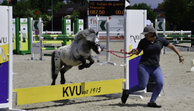 50 Bilder von der Pony-Mini-Challenge in Diepoldsau