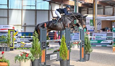 Top-Reiter, Nachwuchstalente und Bullriding an den Pferdesporttagen