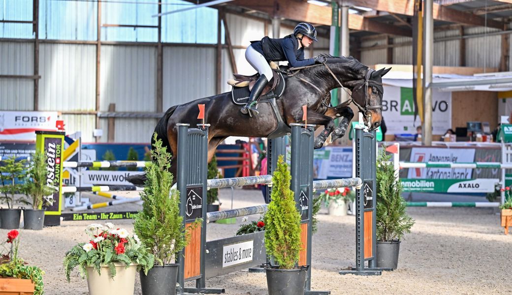 Top-Reiter, Nachwuchstalente und Bullriding an den Pferdesporttagen