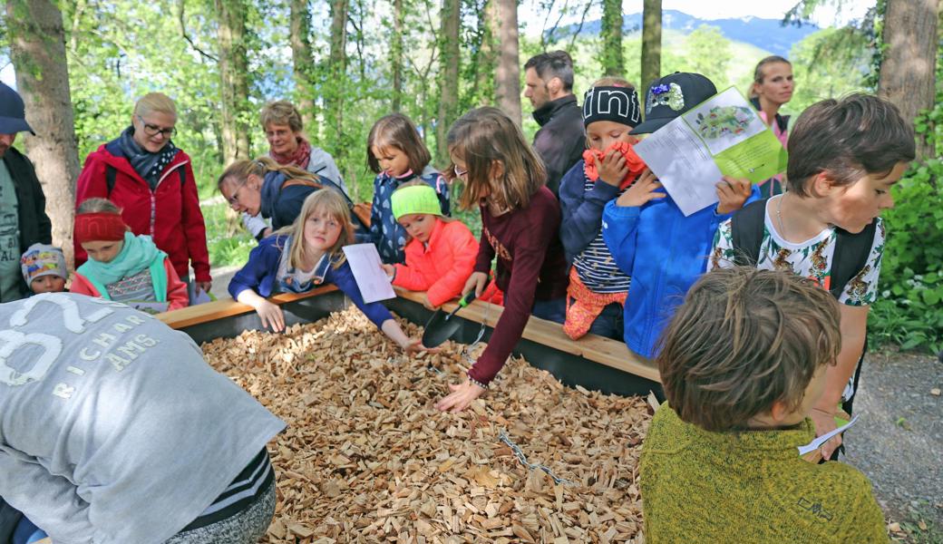 Im Hochbeet können prähistorische Funde gemacht werden.