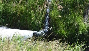 Wegen stinkendem Wasser: Schlafen bei offenem Fenster unmöglich