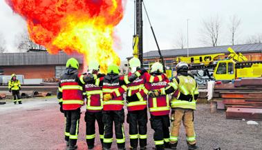 Die letzte Ausbildung dieser Art