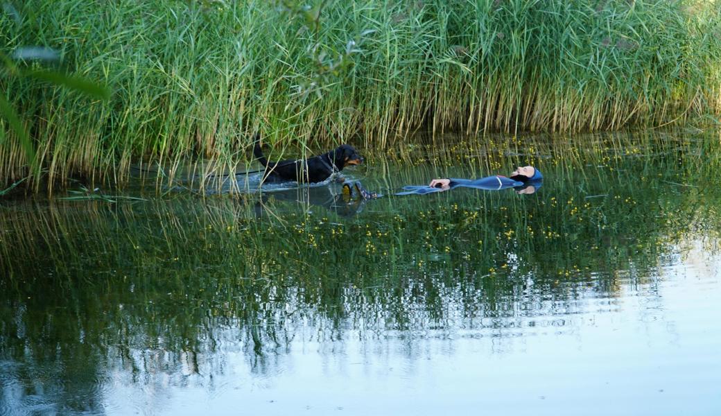 Yodi beim Training im Weiher.