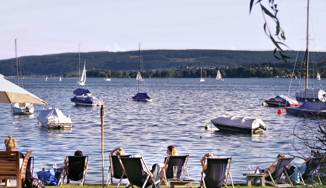 Wasser hat sich im Winter unzureichend durchmischt: Bodensee in Gefahr