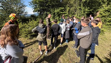 Spannende Entdeckungsreise durch Wald, Hof und Heimat