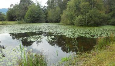 Tag der offenen Tür im Naturreservat Burst