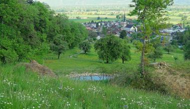 Ein Weiher an bester Lage für den Glögglifrosch