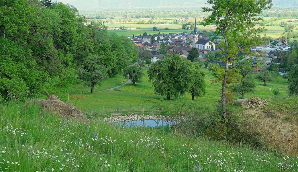 Im «Flüguf» sind neue Lebensräume entstanden.