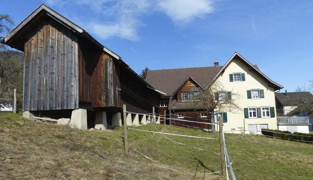 Die Umgebung des Ortsmuseums Oberes Bad, Marbach, mit seiner markanten alten Kegelbahn erhält naturnahe Lebensraumelemente.