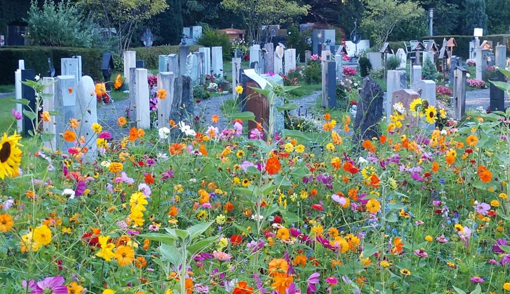 Der Altstätter Stadtfriedhof liegt mitten im Zentrum. 