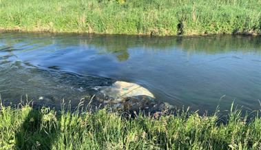 Sack aus Kanal geborgen