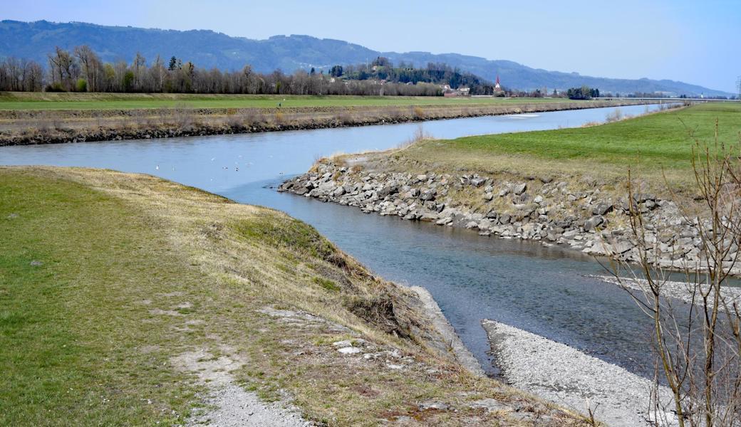 Nur wenn der Rhein mindestens etwas mehr als 400 Meter breit fliesst, kann ein Auenwald entstehen. Das wäre unterhalb der Frutzmündung möglich.