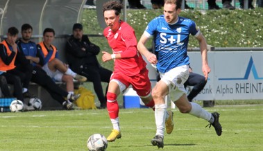 «Ein fehlerfreies Spiel» führt zu einem 7:0-Sieg für Widnau