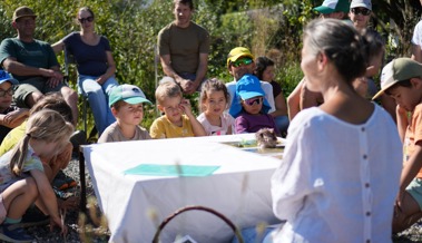 Der Garten aus Igelaugen: Familien bauen neue Verstecke