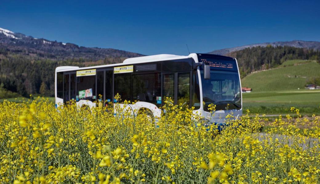 Die Bus-Passagiere sind zufrieden.