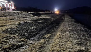 Wegen eines weggeworfenen Zigarettenstummels: Wiesenbrand am Rhein