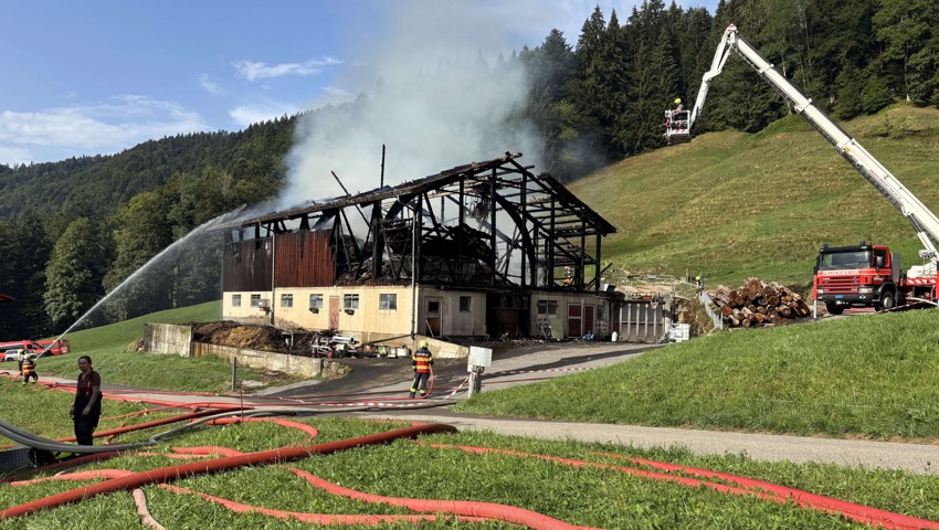 Viehscheune im Toggenburg nach Blitzschlag in Vollbrand – Schweine gerettet