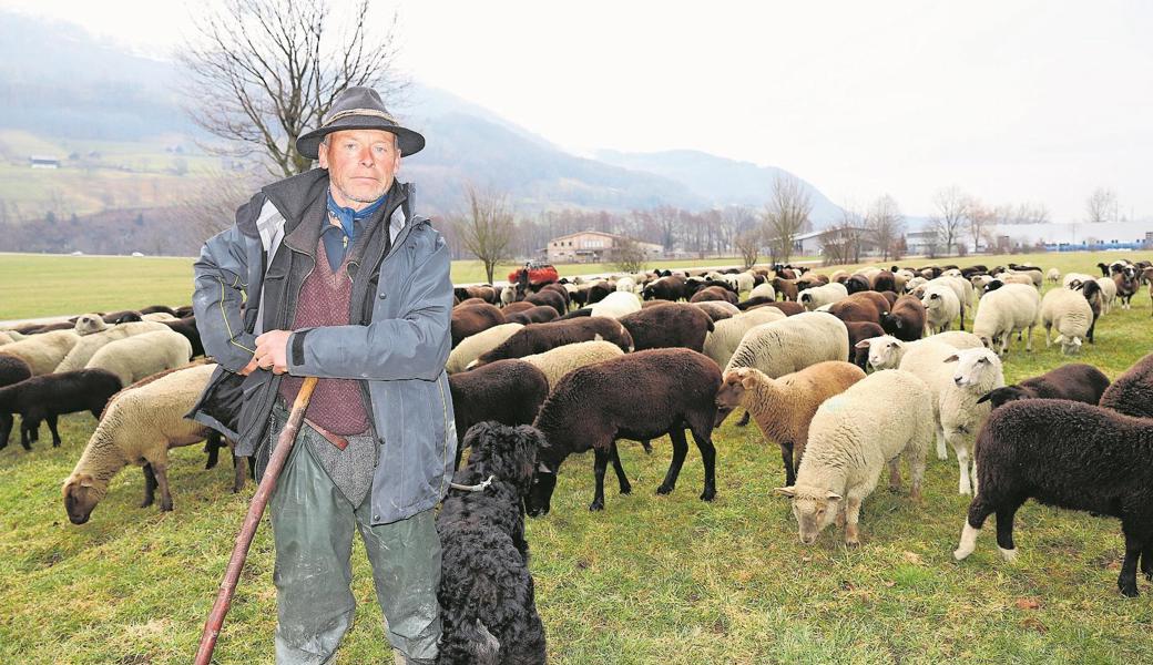 Thomas Landis wandert seit 1985 jeden Winter mit einer Schafherde durch die Schweiz. 