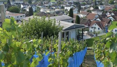 Ortsbürger renovieren ein Haus