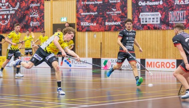Für die Gators geht die Finalserie mit einer Doppelrunde weiter
