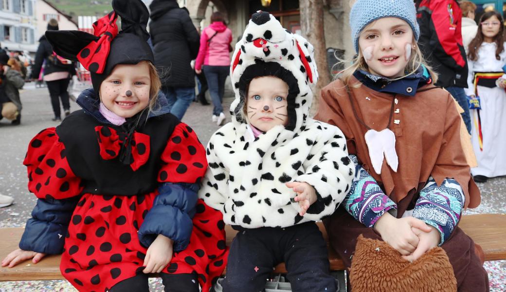 Die Fasnacht in Walzenhausen fällt dieses Jahr aus.