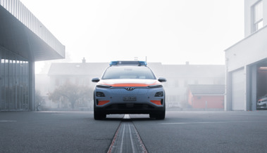 Sachschäden und Ruhestörungen: Kantonspolizei zieht Bilanz zur Halloween-Nacht