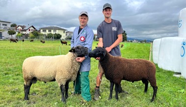 Bei der Herbstschau stehen Eichenwieser Schafen im Mittelpunkt Bei der Herbstschau stehen Eichenwieser Schafen im Mittelpunkt