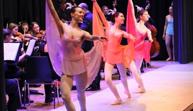Alle Vorstellungen von «Karneval der Tiere» der Musik- und einer Ballettschule sind ausverkauft