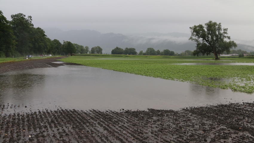 Der starke Regen setzt Felder unter Wasser und lässt Flüsse anschwellen