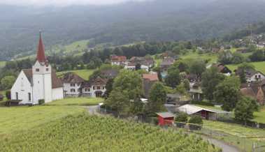 Eichberg ist noch eine Ausnahme - Andere Gemeinden zogen nach im Geoportal