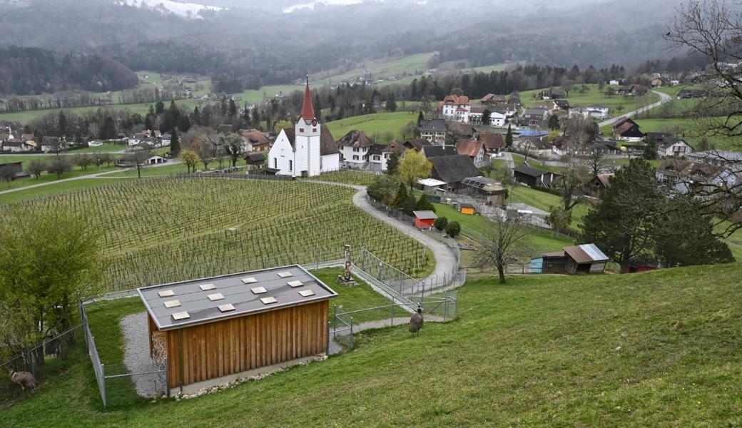Statt im Eichpark wird die Swisscom-Antenne nun wohl auf dem Reservoir Kapf über dem Dorf gebaut.