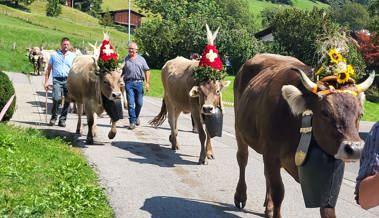 Wegen des schlechten Wetters im Juli: Alpabfahrt um eine Woche vorverlegt