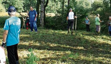 Naturschutzgebiet Katzer gepflegt