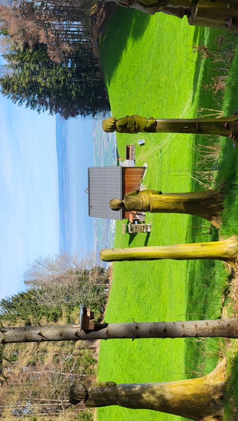 Ein Blick auf die Scheibenweid und den Bodensee.