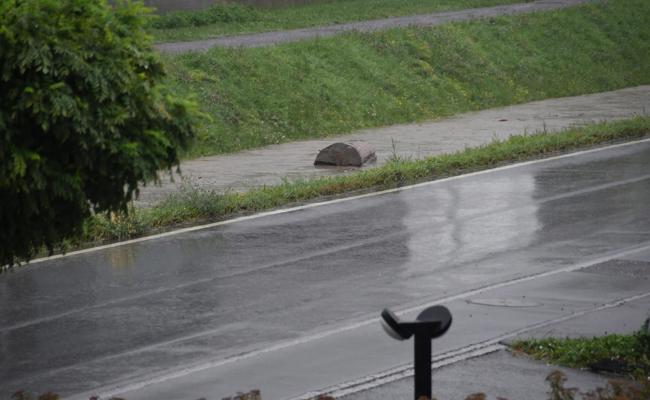 Der Littenbach kommt und bringt Holz mit
