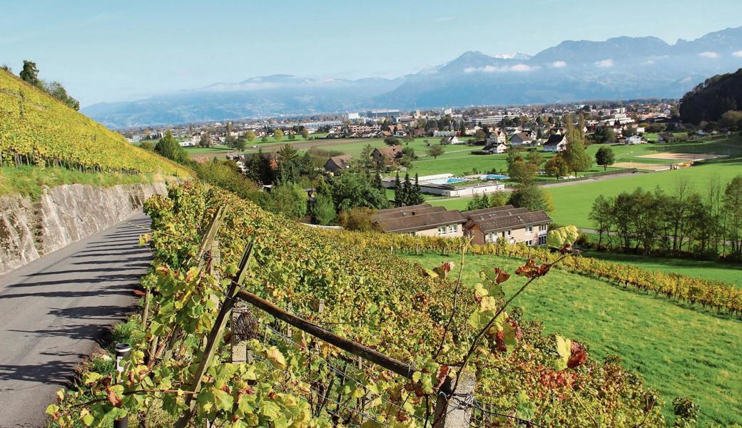 Der Geschäftstourismus, etwa in Verbindung mit dem Wein, könnte in einem Tal, das sich als Wirtschaftsregion versteht, ein guter Ansatz für mehr Tourismus sein. 