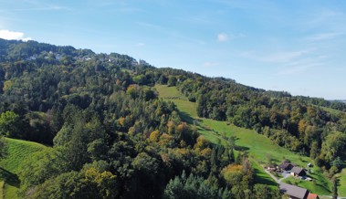 Gemeinderat schaut besonders genau hin - das Urteil: Kein zusätzlicher Schutz für Apfelberg