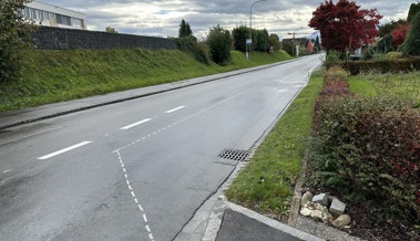 Neue Route Rheinstrasse: Haltestelle «Schmitter» soll ab Dezember definitiv eingerichtet werden Neue Route Rheinstrasse: Haltestelle «Schmitter» soll ab Dezember definitiv eingerichtet werden