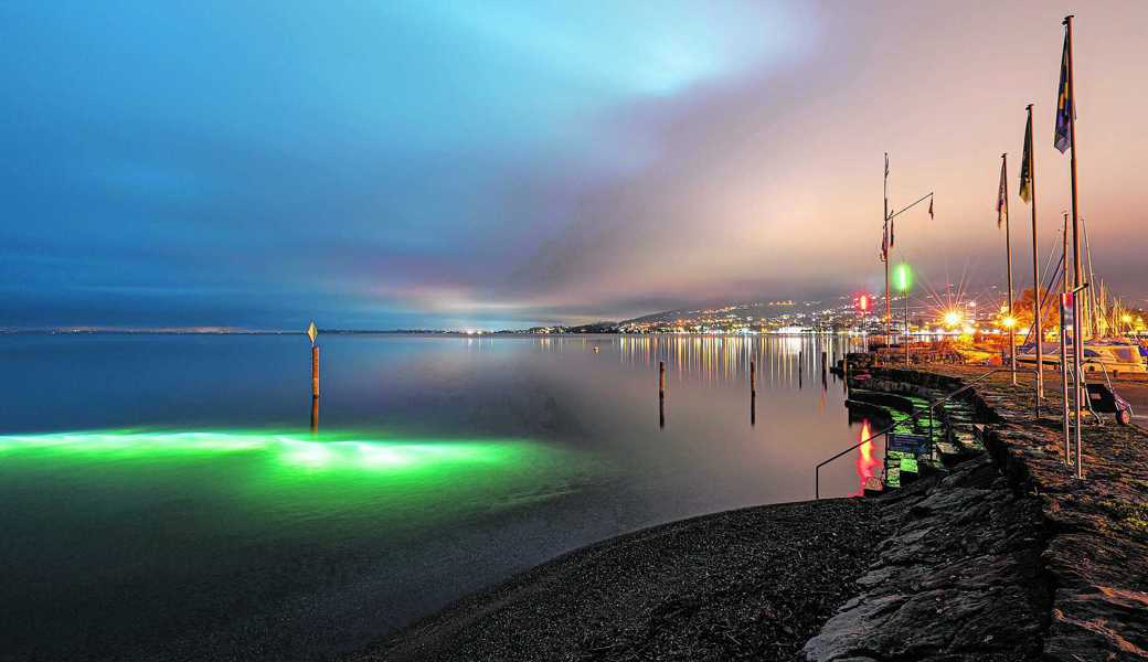 Dieser Tage nicht zu übersehen, das Licht von Unterwasserlampen von Tauchern beim Goldacher Rietli.