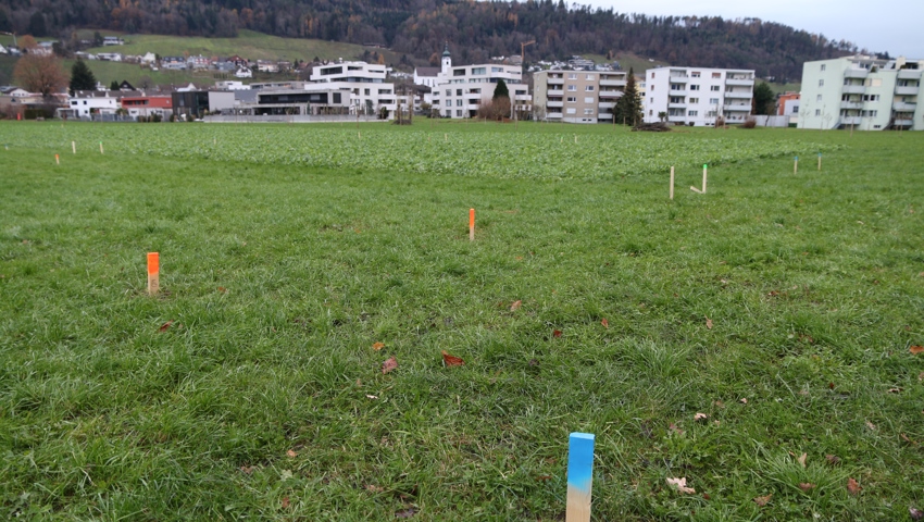 Pflöcke auf der Wiese an der Säntisstrasse.