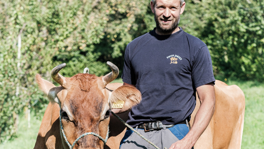 Beat Sturzenegger hat ein Fable für Jersey Kühe.