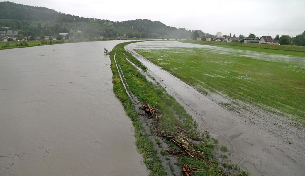 Lustenauer Seite des Rheinvorlandes.