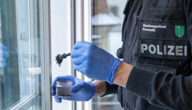 Einbrecher stehlen zwei Mofas aus einem Geschäft