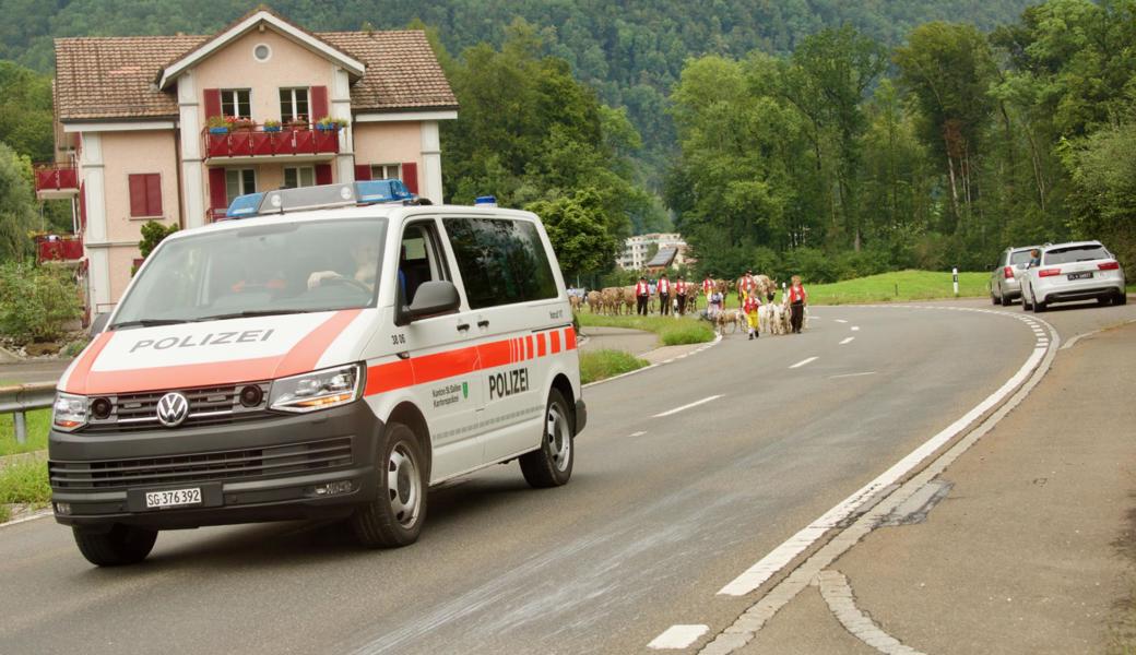 Erstmals wurde der Alpabzug ab Eidenen auf der Hauptstrasse zwischen Sennwald und Salez von der Polizei eskortiert. 