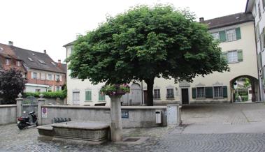 Stadtrat gegen hohe Museumsmauer