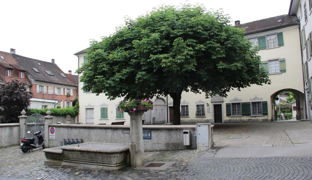 Eine hoher Mauer hinter dem Brunnen und rechts von ihm sieht der Stadtrat skeptisch. Statt hierfür die Bewilligung zu erteilen, will er eine neuerliche Prüfung.