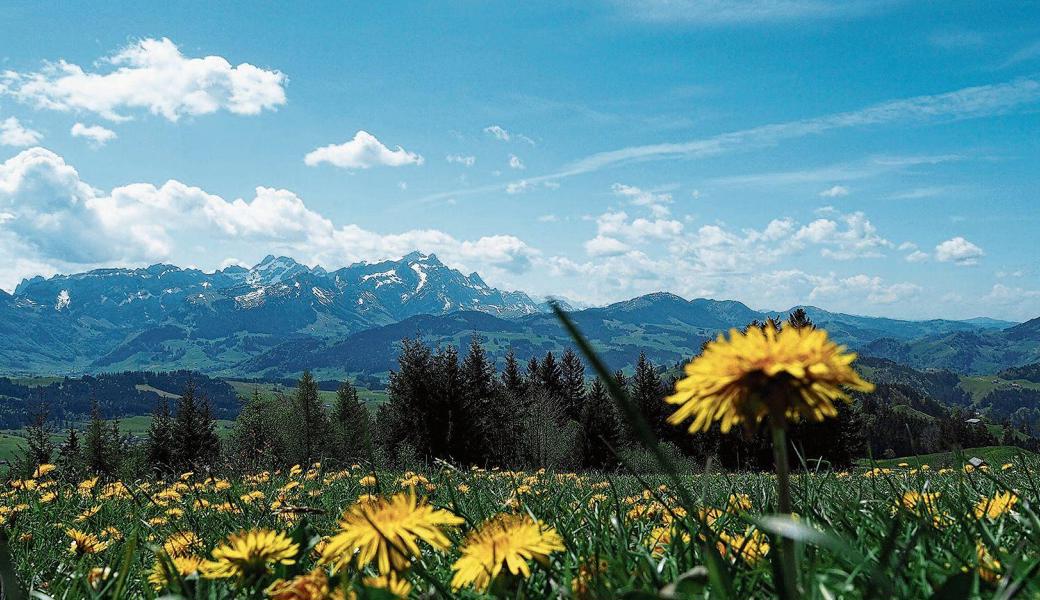 Vom Gäbris rücken die imposanten Appenzeller Alpen in den Vordergrund.Leser