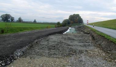 Rheindamm wird stabilisiert