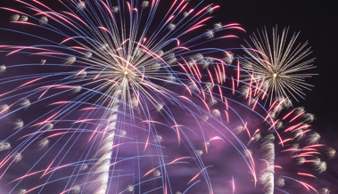 Das lange Warten am 31. Dezember: Silvester mit Pizza und Dackel