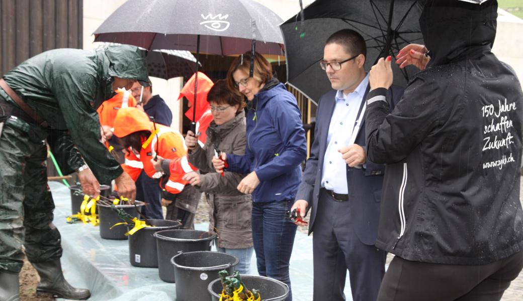 Die Rebhelfer hatten trotz Regen grossen Spass beim Pflanzen der verschiedenen Weinreben